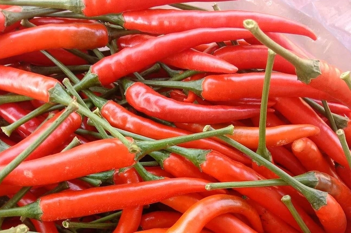 Tác dụng của quả ớt ít ai ngờ đến
