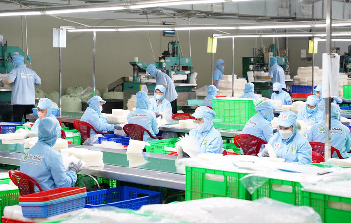 Sản xuất bánh tráng tại Công ty TNHH Tân Nhiên. (Ảnh: Phương Thuý)