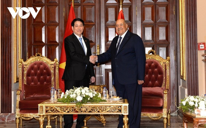 Chủ tịch nước Lương Cường và Chủ tịch Thượng viện Ai Cập Abdel Wahab Abdel Razek.