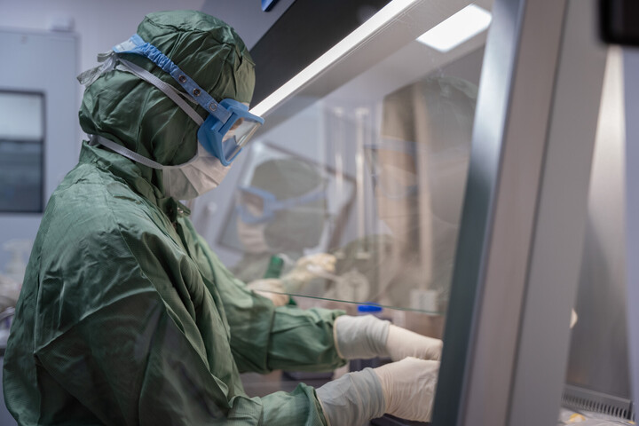 Nhân viên phòng thí nghiệm tại Viện Karolinska đang xử lý tế bào gốc MSCs trong môi trường vô trùng. (Nguồn: Cellcolabs)