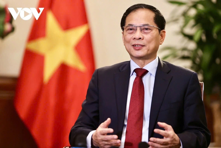 Phó Thủ tướng, Bộ trưởng Ngoại giao Bùi Thanh Sơn.