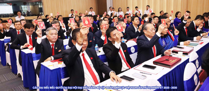 Tập đoàn Điện lực Việt Nam tổ chức Đại hội đại biểu lần thứ IV - 4