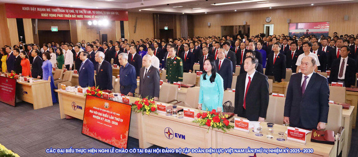 Tập đoàn Điện lực Việt Nam tổ chức Đại hội đại biểu lần thứ IV - 3