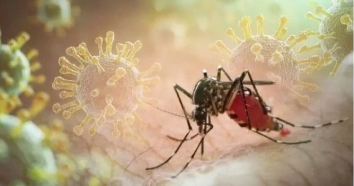 Các ca bệnh Chikungunya được ghi nhận ở nhiều quốc gia. (Ảnh: Getty Images)