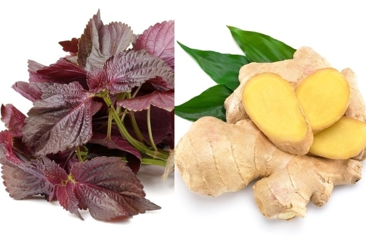 Hai bài thuốc giải cảm từ lá tía tô nấu với gừng
