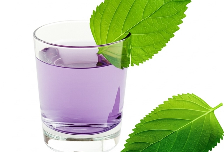 Bài thuốc từ lá tía tô