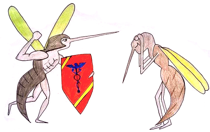 Ứng dụng công nghệ ‘muỗi ăn muỗi’ để diệt dịch chikungunya