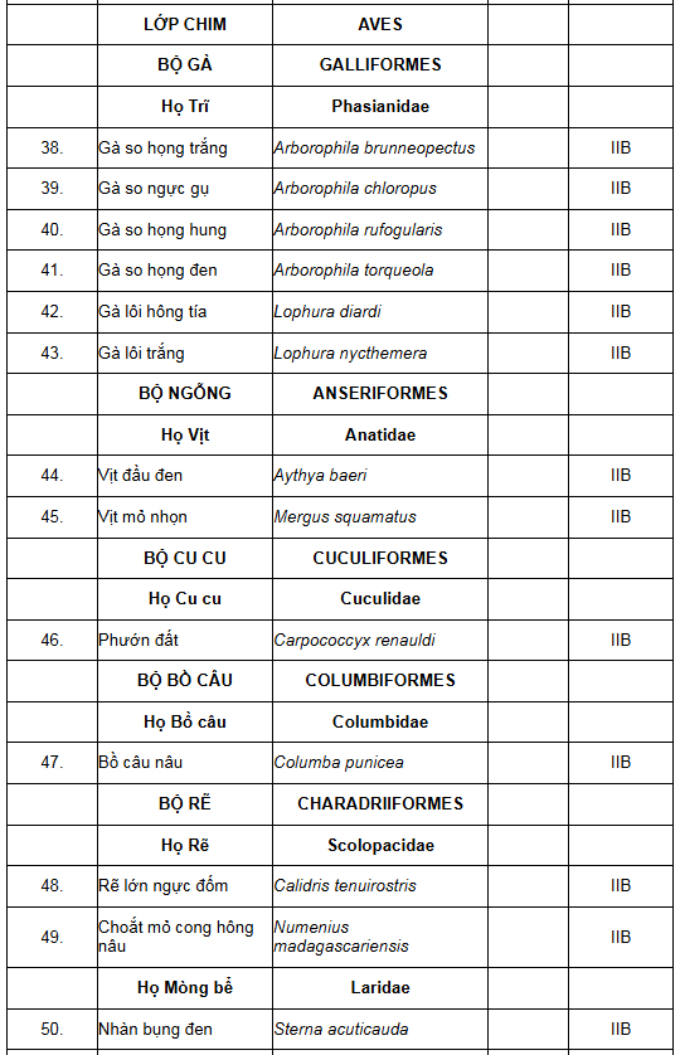 Một số loài động vật thuộc nhóm IIB, theo quy định tại Thông tư 27/2025/TT-BNNMT.