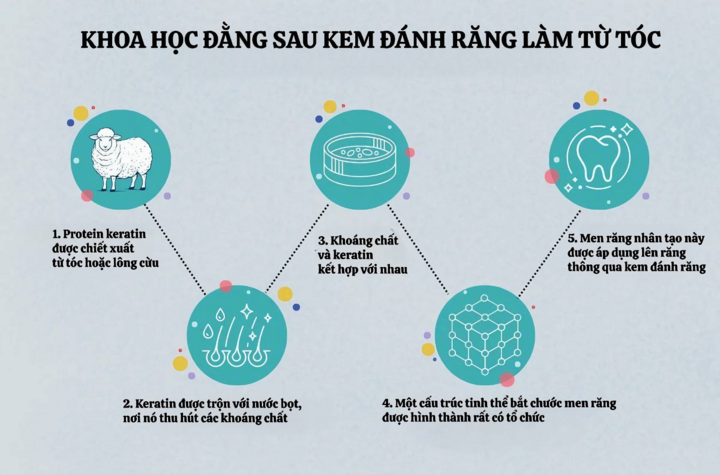 Khoa học đằng sau kem đánh răng làm từ tóc. (Nguồn: King's College London)