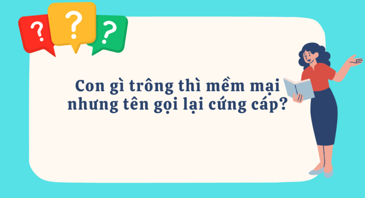 Con gì trông thì mềm mại nhưng tên gọi lại cứng cáp? - 1