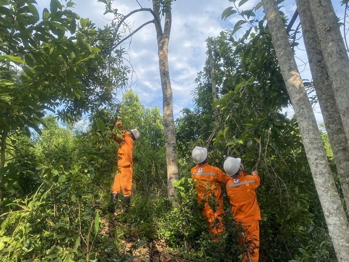 Công nhân quản lý vận hành đường dây chặt tỉa cây để đảm bảo hành lang an toàn lưới điện tại Thái Nguyên.