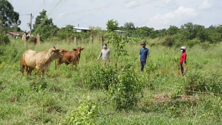 Không dừng lại ở “1 cộng 1”, Hội Phụ nữ xã Suối Dây còn triển khai “Nhóm phụ nữ khuyết tật hỗ trợ sinh kế”. (Ảnh: Trần Trung)