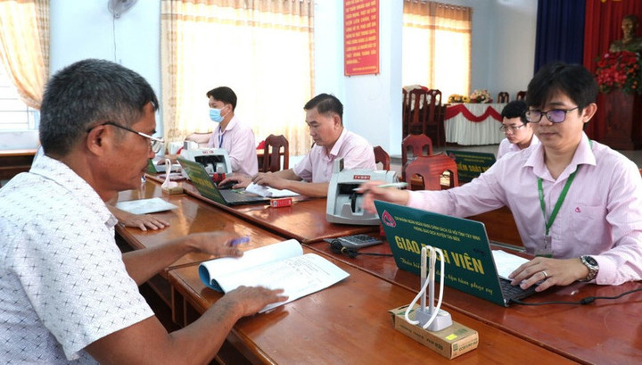 Hội cựu chiến binh xã Tân Thạnh đứng ra vay vốn Ngân hàng chính sách để cho hội viên mượn vốn nuôi bò. (Ảnh: Thanh Phong)