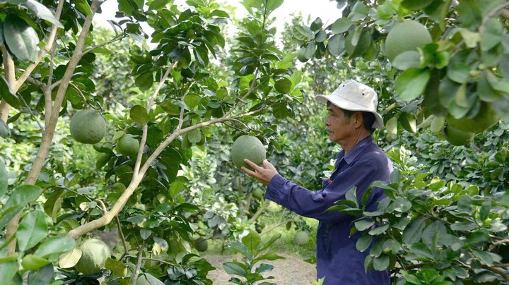 Tây Ninh tăng tốc thực hiện mục tiêu giảm nghèo bền vững thời gian tới. (Ảnh: Thanh Bạch)