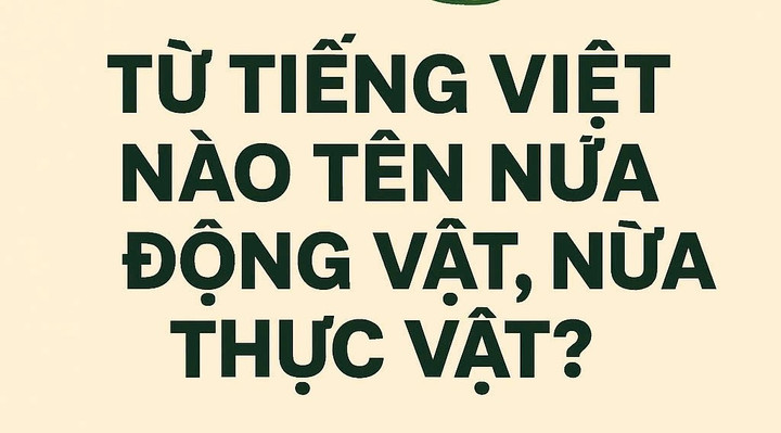 Từ Tiếng Việt nào tên nửa động vật, nửa thực vật?