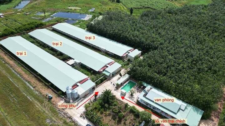 Quy trình xử lý chất thải được các trang trại chăn nuôi công nghệ cao tại Tây Ninh thiết kế bài bản, khoa học. (Ảnh: Trần Trung)