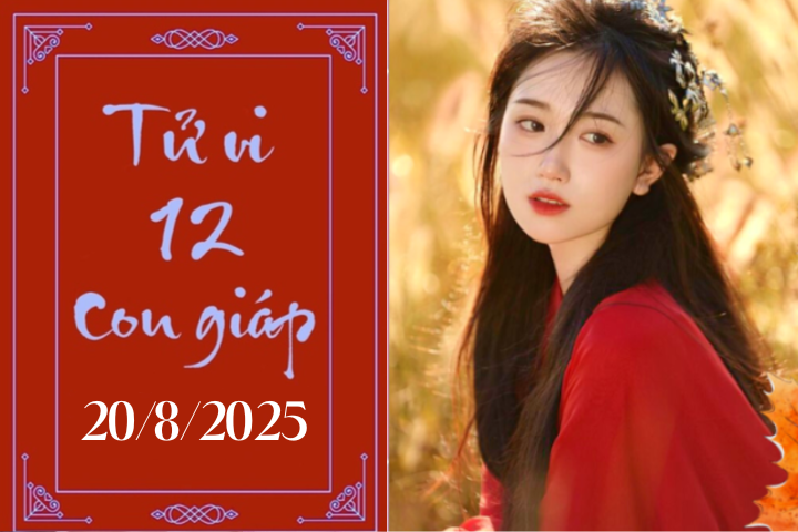 Tử vi 12 con giáp hôm nay ngày 20/8/2025: Ngọ khởi sắc, Mùi nóng vội