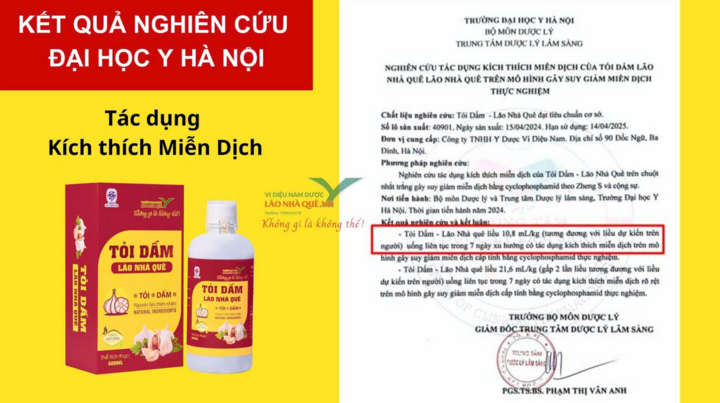 Tác dụng bất ngờ của Tỏi dấm Lão Nhà Quê đối với sức khỏe - 1