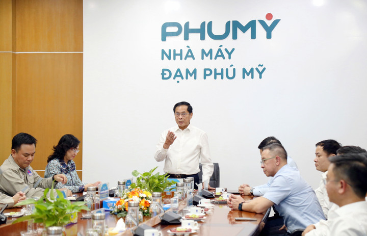 Phó Thủ tướng Bùi Thanh Sơn thăm nhà máy Đạm Phú Mỹ.