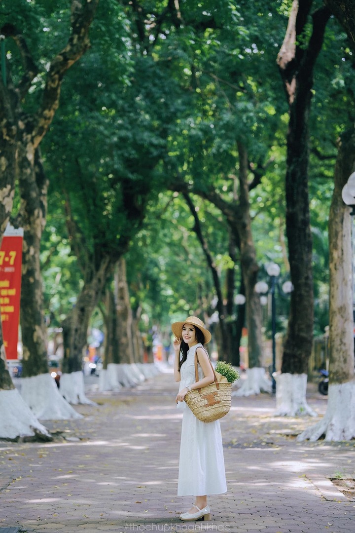 Check in tại hàng cây trên phố Phan Đình Phùng. (Ảnh: Nguyễn Thương)