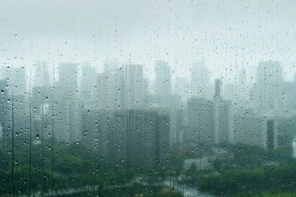 Loại mưa axit mới đang gây lo ngại cho giới khoa học