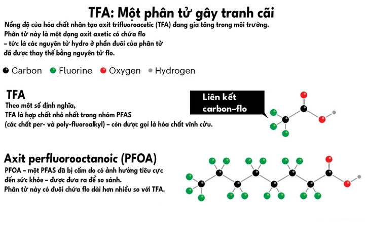 រចនាសម្ព័ន្ធម៉ូលេគុលនៃ TFA ។ (រូបភាព៖ ធម្មជាតិ ប្រែសម្រួលដោយ៖ VTC News)