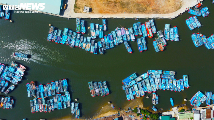 Ngư dân neo đậu tàu cá an toàn trước diễn biến phức tạo của bão số 5 (bão Kajiki)