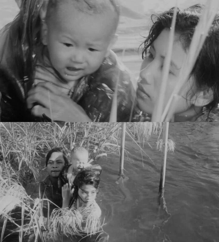 Nguyễn Văn Thuận đóng "Cánh đồng hoang" khi mới 9 tháng tuổi.