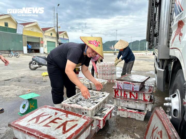 Các hộ kinh doanh ven biển Nghệ An - Hà Tĩnh chủ động di chuyển hải sản, hàng hoá tại các kho ven biển để đưa đến nơi an toàn. (Ảnh: Lê Hùng)