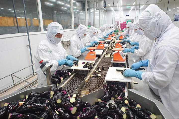 COFIDEC đang sẵn sàng bước vào giai đoạn tăng tốc để hoàn thành mục tiêu năm 2025.