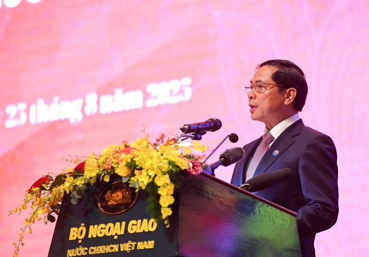 Phó Thủ tướng - Bộ trưởng Ngoại giao Bùi Thanh Sơn