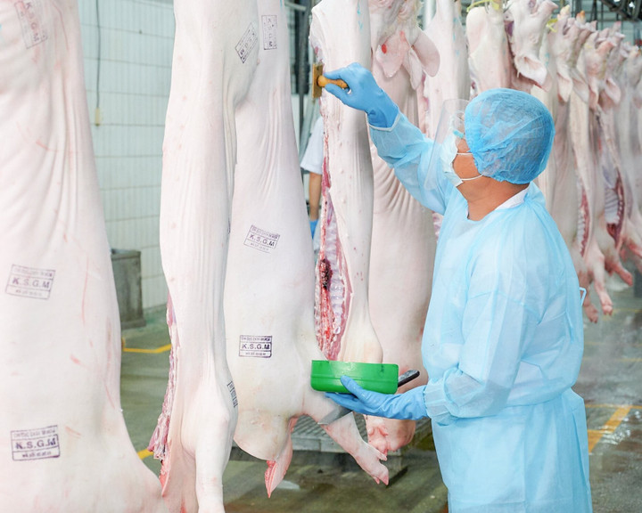 Quy trình kiểm định thịt heo tại Công ty VISSAN. (Ảnh: VISSAN)