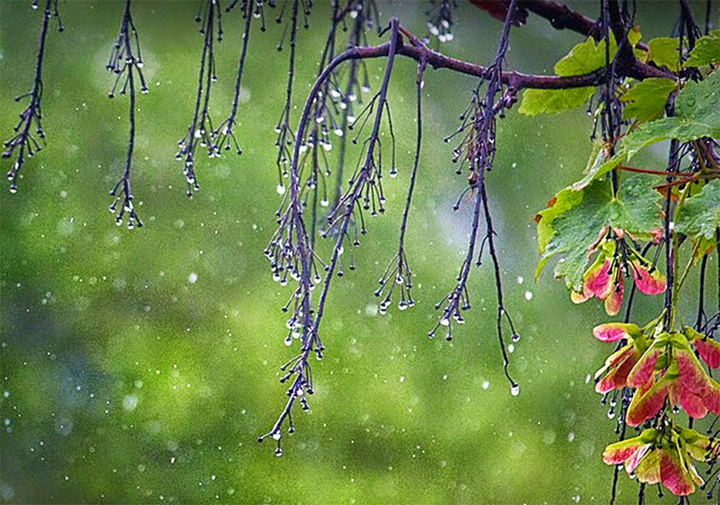 Tháng 7 Âm lịch được gọi là tháng Ngâu.
