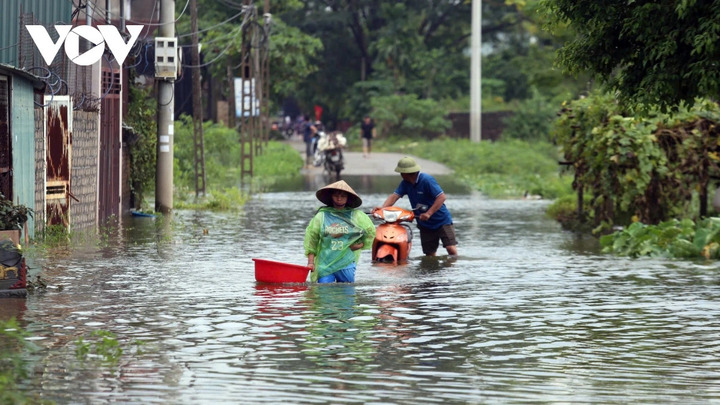 Con đường chính trong làng chạy dọc các thôn Nam Hài, Nhân Lý, Hạnh Bồ có nhiều điểm ngập sâu hơn nửa mét, xe máy không thể di chuyển. Con đường chính trong làng chạy dọc các thôn Nam Hài, Nhân Lý, Hạnh Bồ có nhiều điểm ngập sâu hơn nửa mét, xe máy không thể di chuyển.