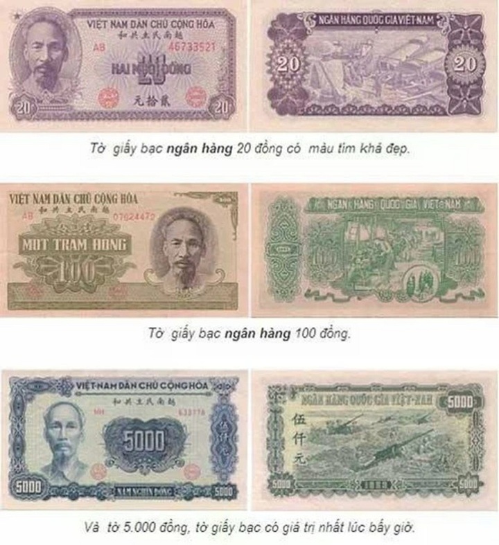 ក្រដាសប្រាក់ឆ្នាំ 1951 ត្រូវបានចេញដោយធនាគារជាតិនៃវៀតណាម ដែលជាអ្នកកាន់តំណែងមុនរបស់ធនាគាររដ្ឋបច្ចុប្បន្ន។