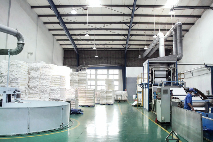 Bông Bạch Tuyết là công ty đầu tiên tại Việt Nam từ năm 1990 đã nhập khẩu dây chuyền sản xuất băng vệ sinh dán về Việt Nam.