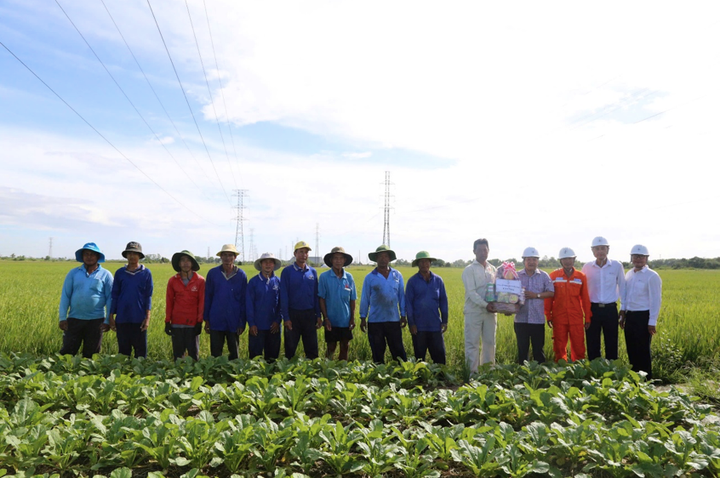 Ngày 1/9, lãnh đạo Công ty Điện lực TP. Cần Thơ thăm và động viên cán bộ, công nhân đang thi công xuyên lễ trên công trường Dự án Đường dây 110kV Trần Đề- trạm 220kV Sóc Trăng.