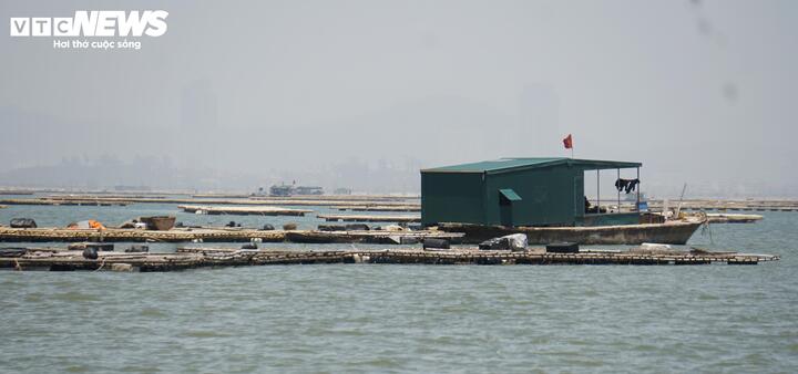 Những tàu đánh cá trên vùng biển Quảng Ninh mỗi khi ra khơi hoặc trở về sẽ phải luồn lách, lựa di chuyển nhằm tránh va chạm phải lồng bè của người dân.