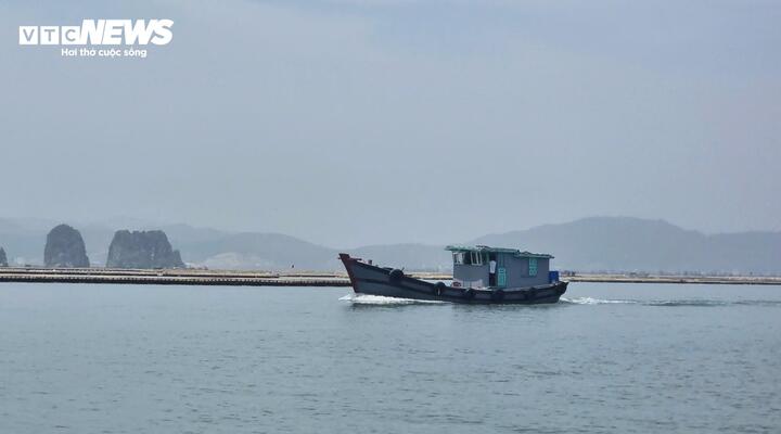 Những tàu đánh cá trên vùng biển Quảng Ninh mỗi khi ra khơi hoặc trở về sẽ phải luồn lách, lựa di chuyển nhằm tránh va chạm phải lồng bè của người dân.