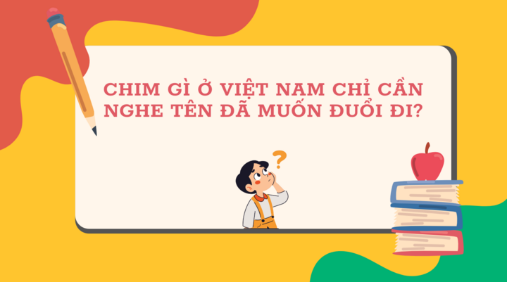 សត្វបក្សីមួយណានៅវៀតណាម គ្រាន់តែឮឈ្មោះវាធ្វើឲ្យអ្នកចង់ដេញវាចេញ? - ១