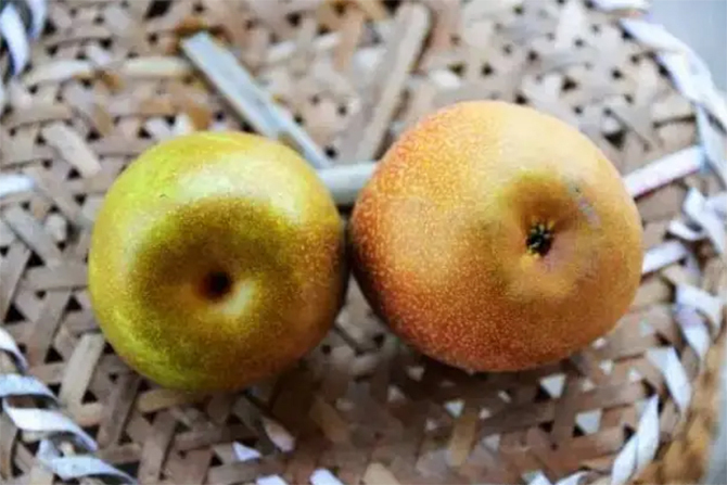 Nhìn vào phần đáy sẽ phân biệt được lê đực và lê cái. (Ảnh: Sohu)