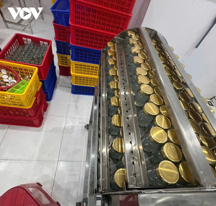 Rất nhiều hũ thủy tinh bên trong xưởng sản xuất yến chưng giả tại Công ty TNHH Vannest
