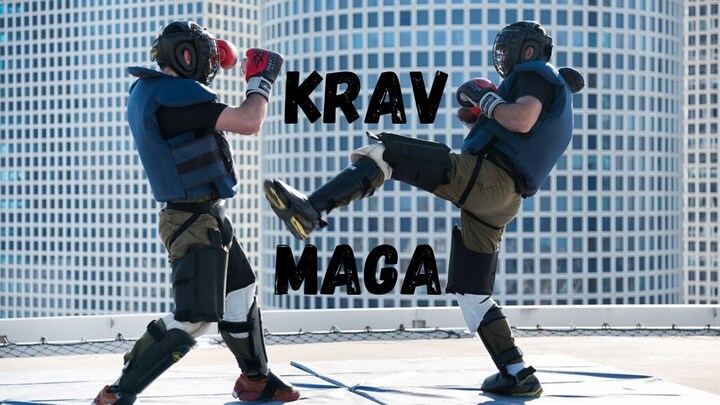 Krav Maga về cơ bản chính là một cuộc ẩu đả đường phố