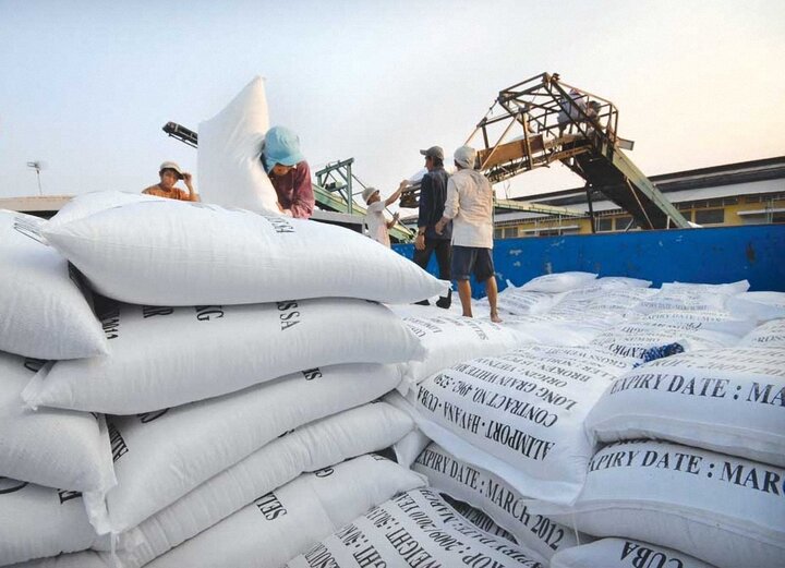 Xuất khẩu gạo Việt Nam chủ động ứng phó với biến động trên thị trường thế giới. (Ảnh minh họa)