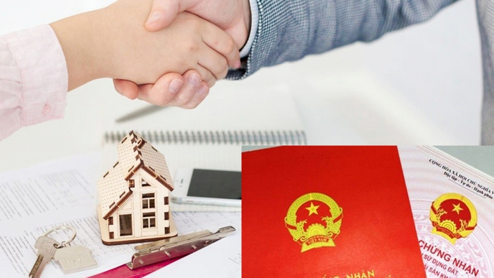 Lấy sổ đỏ của người khác đi thế chấp nếu không được