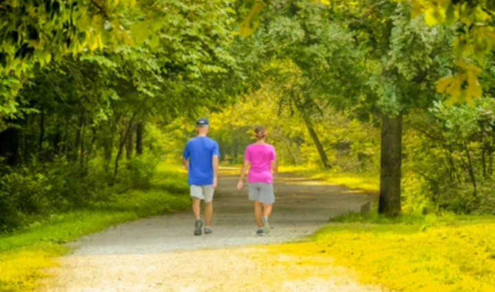 Điều gì xảy ra với cơ thể khi bạn đi bộ vào buổi chiều?