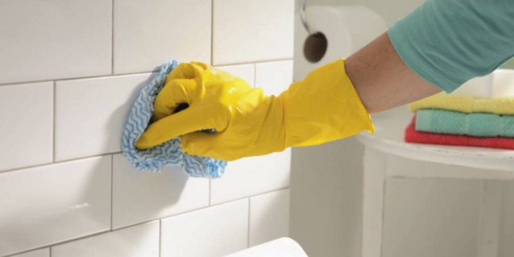 Top 8 cách phòng tránh kiến ba khoang hiệu quả, an toàn