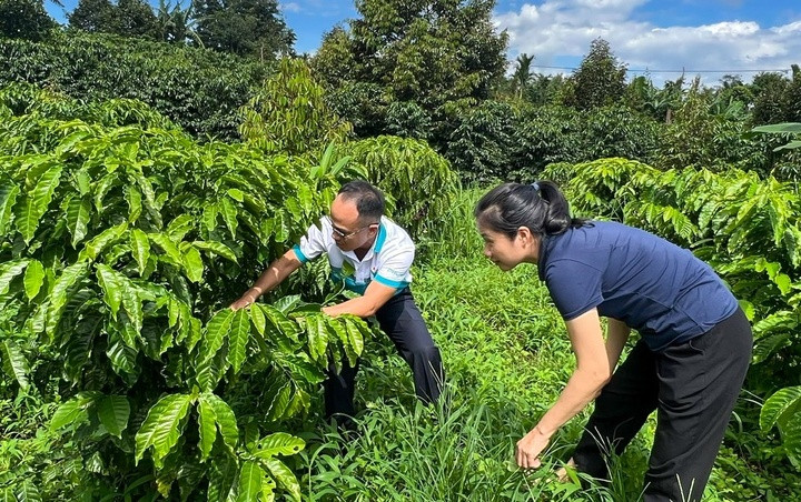 Anh Nguyễn Lê Đức Trọng – Thạc sĩ nông nghiệp của Ban Tiếp thị và Truyền thông Tổng công ty cũng miệt mài, gắn bó với bà con và các đơn vị chuyên môn trên khắp các vùng miền và cả thị trường quốc tế.