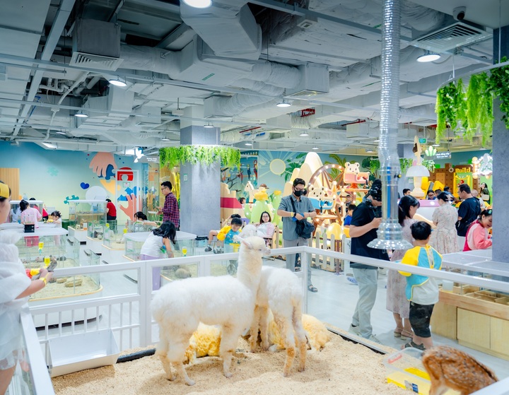 B-Zone – Vườn thú mini cùng nhiều góc chơi sáng tạo.