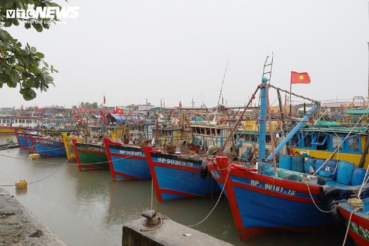 Lực lực chức năng TP Hải Phòng kêu gọi tàu thuyền về nơi tránh trú bão an toàn. (Ảnh minh họa)